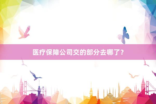 医疗保障公司交的部分去哪了？