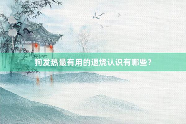 狗发热最有用的退烧认识有哪些？